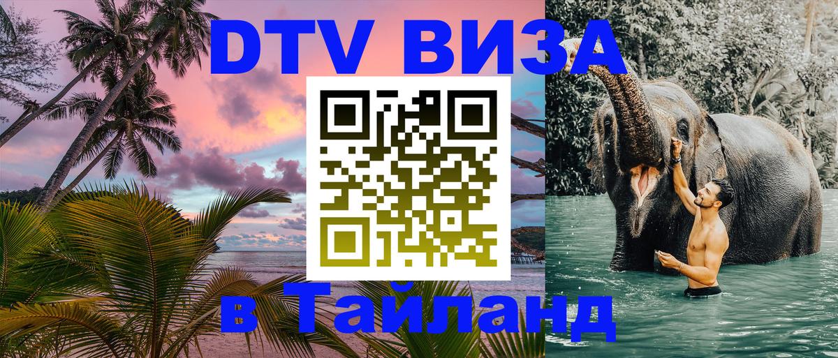Сколько стоит DTV виза — актуальные цены, оформление даже без документов - 04.10.2025 